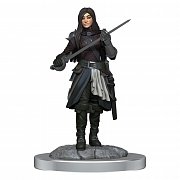 D&D Nolzur's Marvelous Miniatures Unpainted Miniatures 2-balení Half-elf Rogue Female Case (4)