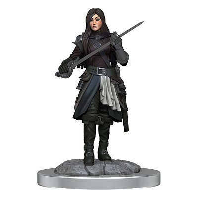 D&D Nolzur's Marvelous Miniatures Unpainted Miniatures 2-balení Half-elf Rogue Female Case (4)