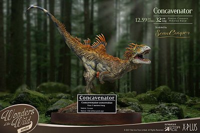 Socha Divů divočiny Concavenator 25 cm