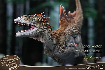 Socha Divů divočiny Concavenator 25 cm