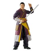 Doctor Strange in the Multiverse of Madness Marvel Legends Series Action Figure 2022 Marvel's Wong 15 cm