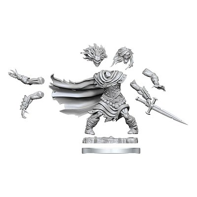 Sada miniaturního modelu Dungeons & Dragons Frameworks Hmotnost