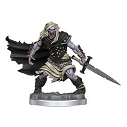Sada miniaturního modelu Dungeons & Dragons Frameworks Hmotnost