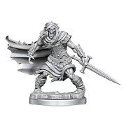 Sada miniaturního modelu Dungeons & Dragons Frameworks Hmotnost