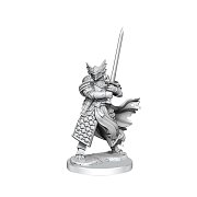 Sada miniaturních modelů Dungeons & Dragons Frameworks Dragonborn Paladin Muž