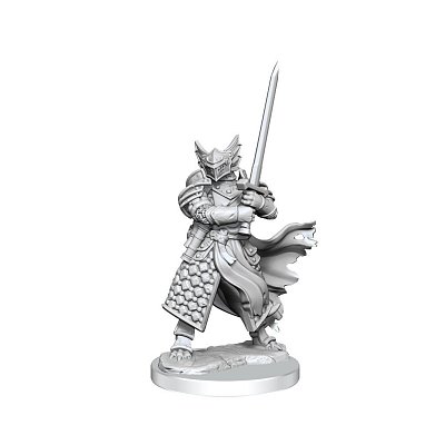 Sada miniaturních modelů Dungeons & Dragons Frameworks Dragonborn Paladin Muž
