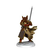 Sada miniaturních modelů Dungeons & Dragons Frameworks Dragonborn Paladin Muž