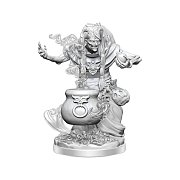 Sada miniaturního modelu Dungeons & Dragons Frameworks Night Hag
