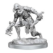 Dungeons & Dragons Frameworks Miniatures Model Kit 2-balení Ghast & Ghoul