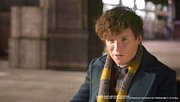 Fantastic Beasts Scarf Newt Scamander 190 cm