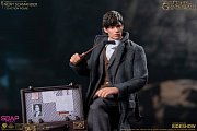 Fantastic Beasts: The Crimes of Grindelwald Action Figure 1/12 Newt Scamander 17 cm