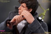 Fantastic Beasts: The Crimes of Grindelwald Action Figure 1/12 Newt Scamander 17 cm