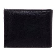 Fantastic Beasts Wallet M.A.C.U.S.A.