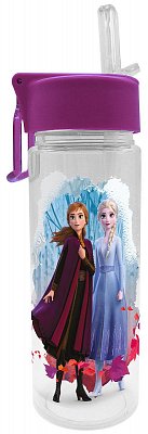 Frozen 2 Water Bottle Journey
