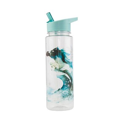 Frozen 2 Water Bottle Logo