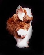 Gremlins Prop Replica 1/1 Gizmo Puppet 25 cm