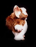 Gremlins Prop Replica 1/1 Gizmo Puppet 25 cm