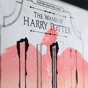 Umělecký potisk Harryho Pottera Limitovaná edice Fan-Cel 36 x 28 cm