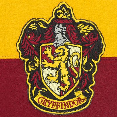 Harry Potter Prapor & Vlajka Set Nebelvír