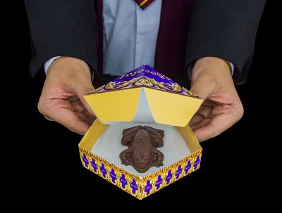 Harry Potter Chocolate Frog Mold
