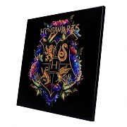 Harry Potter Křišťálově čistý obraz Bradavic Fine Oddities 32 x 32 cm