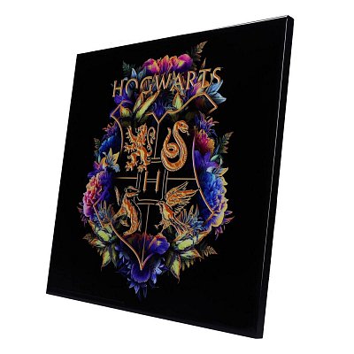 Harry Potter Křišťálově čistý obraz Bradavic Fine Oddities 32 x 32 cm