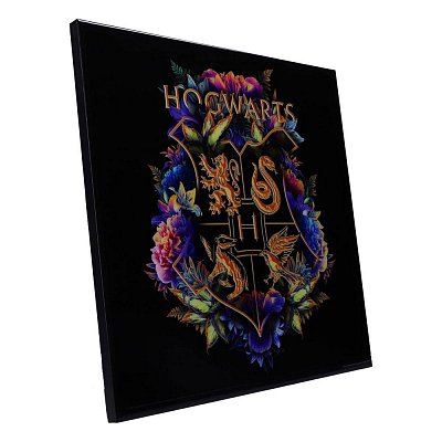 Harry Potter Křišťálově čistý obraz Bradavic Fine Oddities 32 x 32 cm