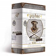 Harry Potter Deck-Building Card Game Hogwarts Battle Defence Against The Dark Arts *English Version*