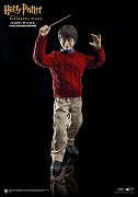 Harry Potter Figurka