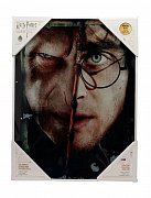Harry Potter Glass Poster Harry & Voldemort 30 x 40 cm