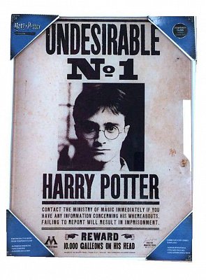 Harry Potter Glass Poster Undesirable No. 1 40 x 30 cm