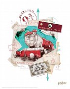 Harry Potter Lithograph 10-Set 36 x 28 cm