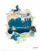 Harry Potter Lithograph 10-Set 36 x 28 cm