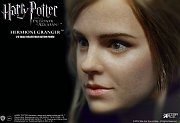 Harry Potter My Favourite Movie Action Figure 1/6 Hermione Granger (Teenage Version) 29 cm --- DAMAGED PACKAGING
