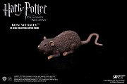 Harry Potter My Favourite Movie Action Figure 1/6 Ron Weasley Deluxe Ver. 29 cm