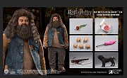 Harry Potter My Favourite Movie Action Figure 1/6 Rubeus Hagrid 2.0 40 cm