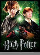 Harry Potter Poster Puzzle Ron Weasley
