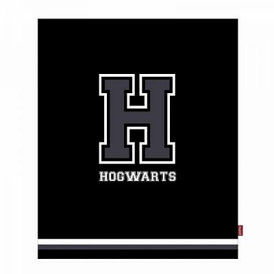 Harry Potter Throw H for Hogwarts 125 x 150 cm