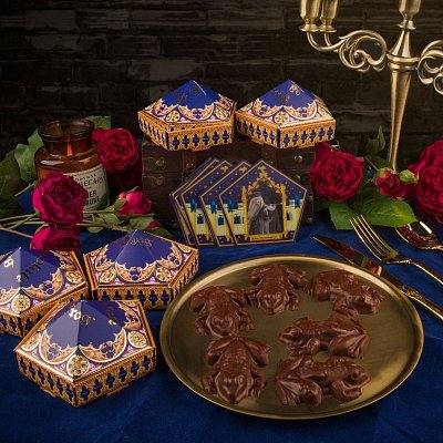Harry Potter Chocolate Frog Mold New Edition - Poškozený obal