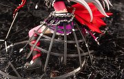 Idolmaster Cinderella Girls PVC Statue 1/7 Syoko Hoshi Mash Up Voltage 19 cm