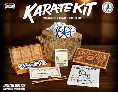 Karate Kid Miyagi-Do Karate School Kit Limited Edition