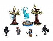 LEGO® Harry Potter&trade; - Expecto Patronum