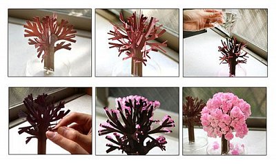 Magic Sakura Home Decor Magic Sakura Tree 13 cm