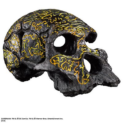 Man of Steel (Muž z oceli) Replika The Codex Skull (Lebka)