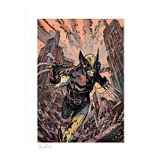 Umělecká reprodukce Marvel Wolverine 46 x 61 cm - nerámováno