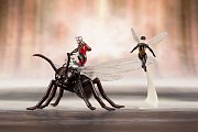 Marvel Comics Avengers Series ARTFX+ PVC Statue 1/10 Astonishing Ant-Man & Wasp 19 cm