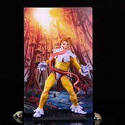 Sběratelská akční figurka Marvel Legends 20th Anniversary Series 1 2022 Marvel's Toad 15 cm