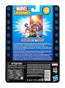 Sběratelská akční figurka Marvel Legends 20th Anniversary Series 1 2022 Marvel's Toad 15 cm