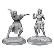 Pathfinder Battles pre-painted Miniatures Fists of the Ruby Phoenix - Contenders and Champions