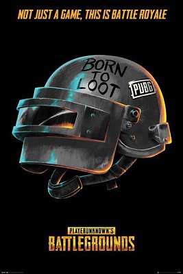 Playerunknown\'s Battlegrounds Poster 61 x 91 cm Display (35)